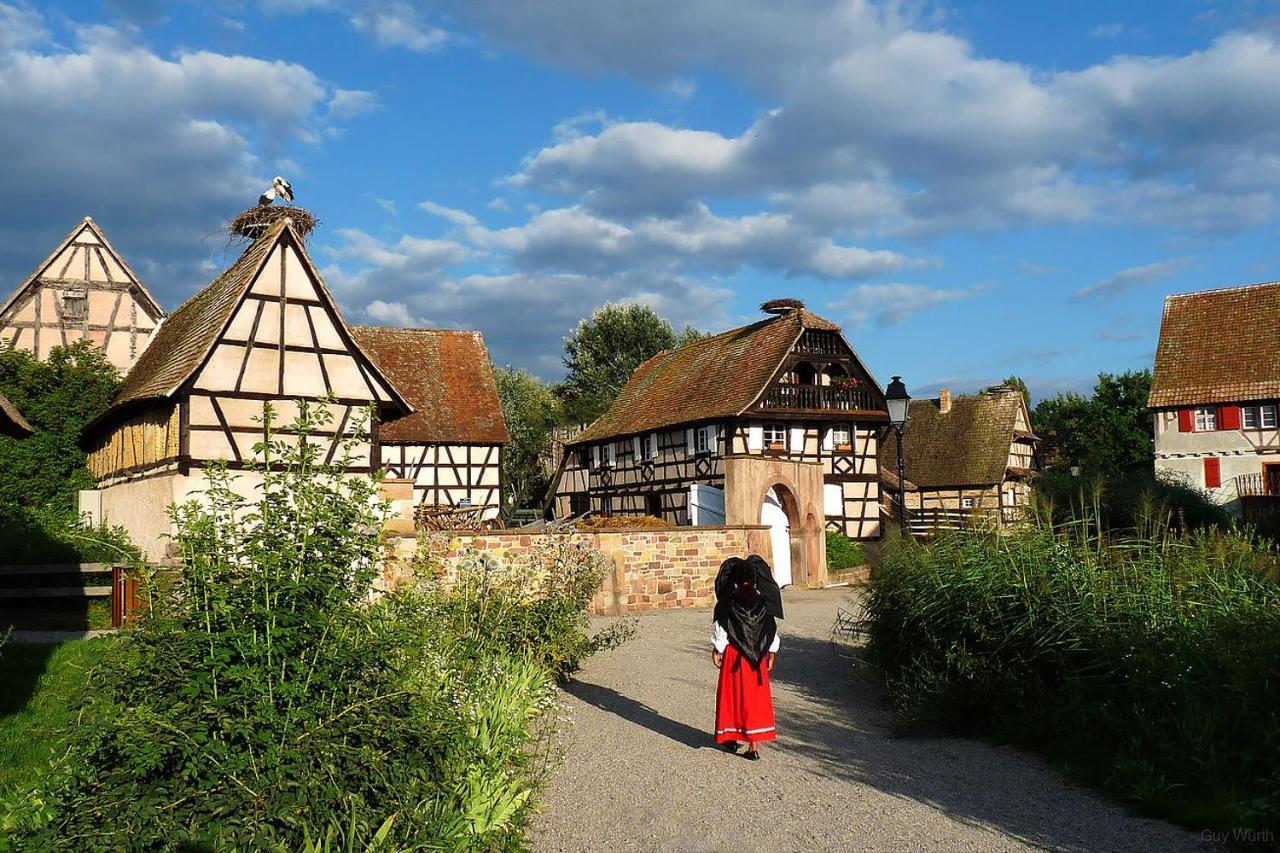 Chez Christian Daire Breitenbach-Haut-Rhin Dış mekan fotoğraf