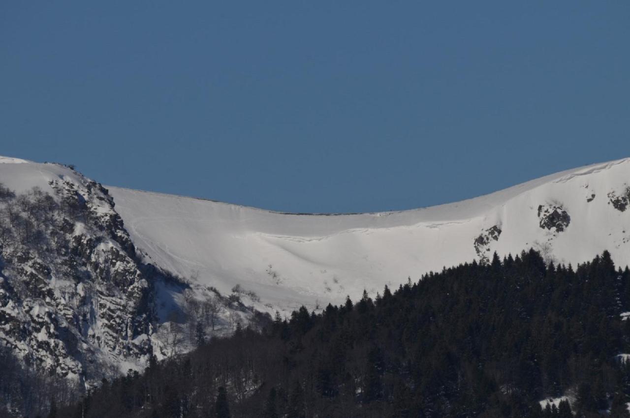 Chez Christian Daire Breitenbach-Haut-Rhin Dış mekan fotoğraf