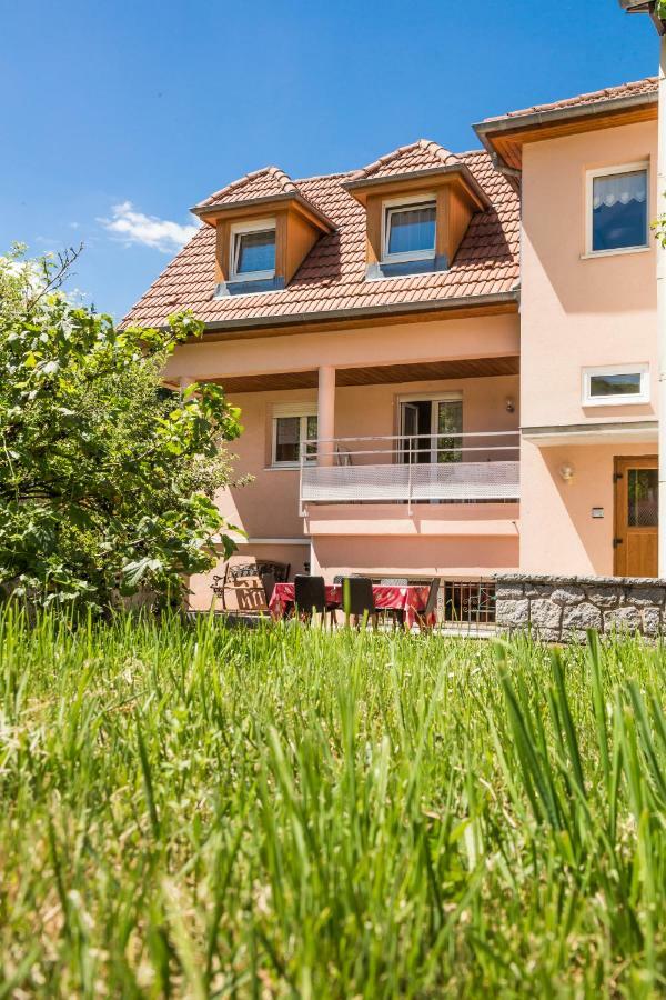 Chez Christian Daire Breitenbach-Haut-Rhin Dış mekan fotoğraf